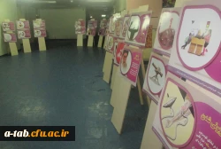 همزمان با هفته بسیج 

برگزاری نمایشگاه 