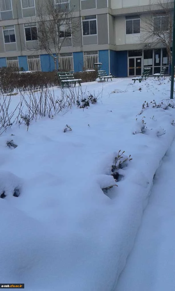 چشم اندازهای زیبا از زمستان ـ پردیس علامه طباطبایی اردبیل 2