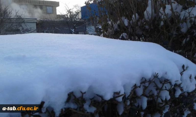 چشم اندازهای زیبا از زمستان ـ پردیس علامه طباطبایی اردبیل 1393/10/20
