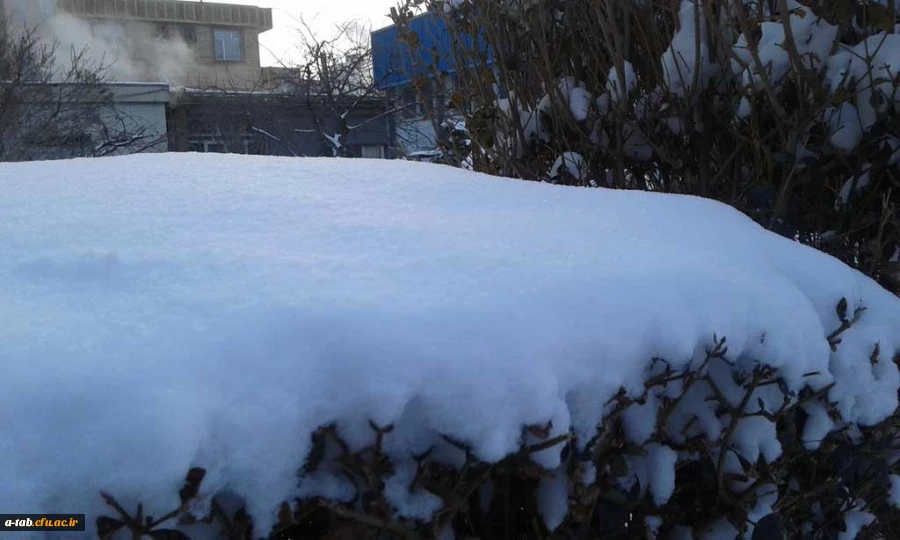 چشم اندازهای زیبا از زمستان ـ پردیس علامه طباطبایی اردبیل 3