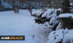 چشم اندازهای زیبا از زمستان ـ پردیس علامه طباطبایی اردبیل 4