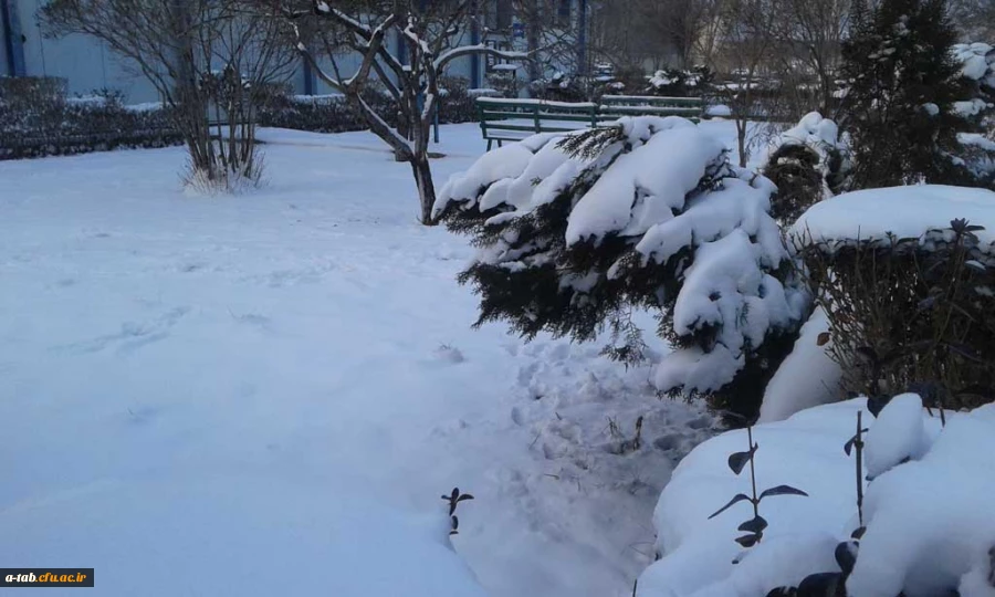 چشم اندازهای زیبا از زمستان ـ پردیس علامه طباطبایی اردبیل 4