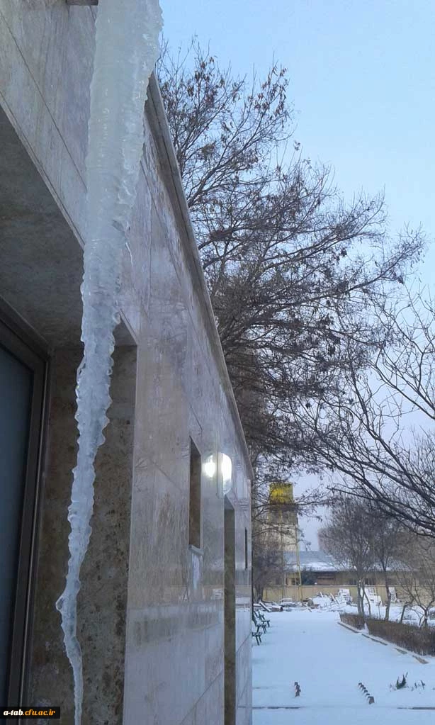 چشم اندازهای زیبا از زمستان ـ پردیس علامه طباطبایی اردبیل 6