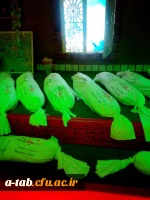 اعزام کاروان راهیان نور دانشگاه فرهنگیان اردبیل به مناطق عملیاتی جنوب کشور 10