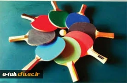 برگزاری مسابقه تنیس روی میز 

جهت تشکیل تیم تنیس روی میز پردیس 2