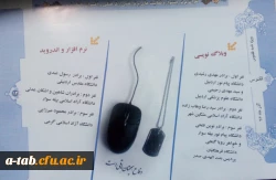 درخشش  دانشجومعلّمان دانشگاه فرهنگیان اردبیل  و کسب 19 رتبه از 38 رتبه در رشته های مختلف در جشنواره علمی – پژوهشی ، فرهنگی دانشگاه های استان  به مناسبت هفته ی ملّی پژوهش و فناوری 2