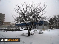 یک روز برفی در پردیس علامه طباطبایی دانشگاه فرهنگیان اردبیل 2