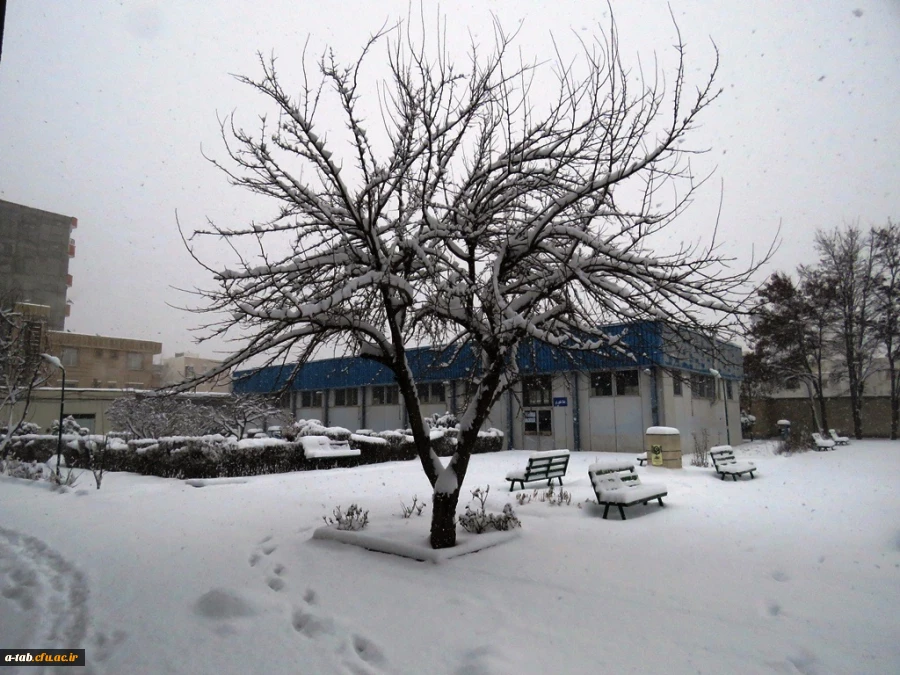 یک روز برفی در پردیس علامه طباطبایی دانشگاه فرهنگیان اردبیل 2