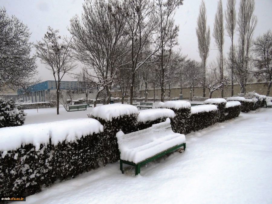 یک روز برفی در پردیس علامه طباطبایی دانشگاه فرهنگیان اردبیل 2