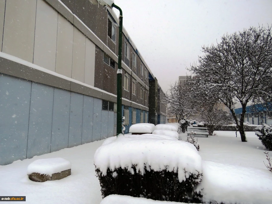 یک روز برفی در پردیس علامه طباطبایی دانشگاه فرهنگیان اردبیل 2