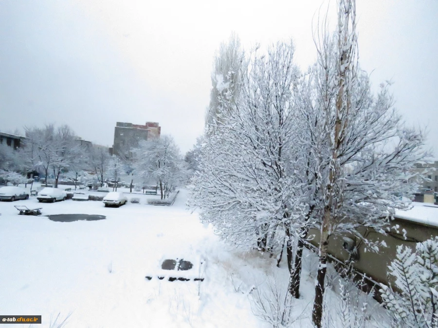 برف بهاری ، پردیس علامه طباطبایی اردبیل 4
