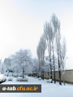 برف بهاری ، پردیس علامه طباطبایی اردبیل 5