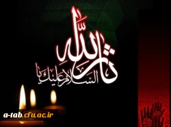 این حسیــــــــن کیست که عالم همه دیوانه ی اوست
                                                           این چه شمعی است که جان ها همه پروانه ی اوست
 2