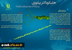 اطلاعیه افتتاح واحد بهداشت و سلامت پردیس علامه طباطبایی اردبیل 2