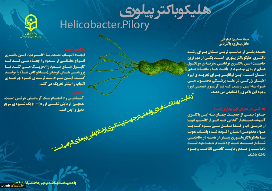 اطلاعیه افتتاح واحد بهداشت و سلامت پردیس علامه طباطبایی اردبیل 2