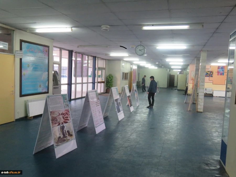 برپایی نمایشگاه علوم ثقلین در پردیس 4