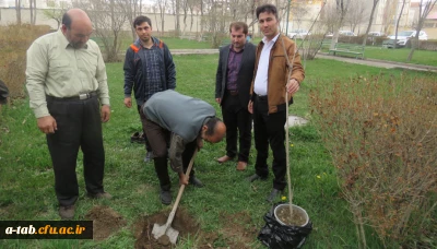کاشت درخت توسّط دانشجومعلّم پردیس علّامه طباطبایی به بهانه سالروز تولّد این عزیز در محوّطه ی پردیس