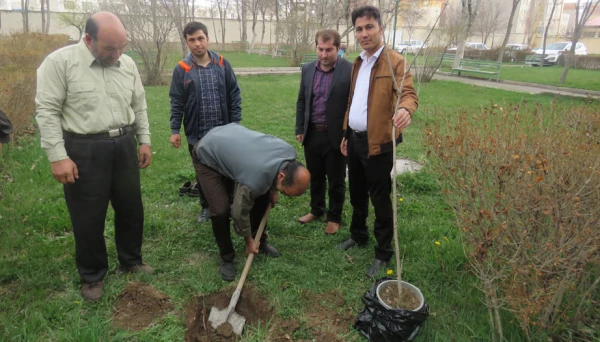 کاشت درخت توسّط دانشجومعلّم پردیس علّامه طباطبایی به بهانه سالروز تولّد این عزیز در محوّطه ی پردیس 2