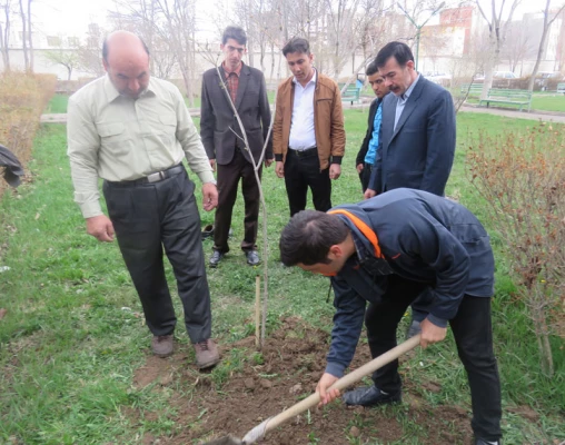 کاشت درخت توسّط دانشجومعلّم پردیس علّامه طباطبایی به بهانه سالروز تولّد این عزیز در محوّطه ی پردیس 3