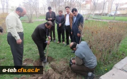کاشت درخت توسّط دانشجومعلّم پردیس علّامه طباطبایی به بهانه سالروز تولّد این عزیز در محوّطه ی پردیس 4