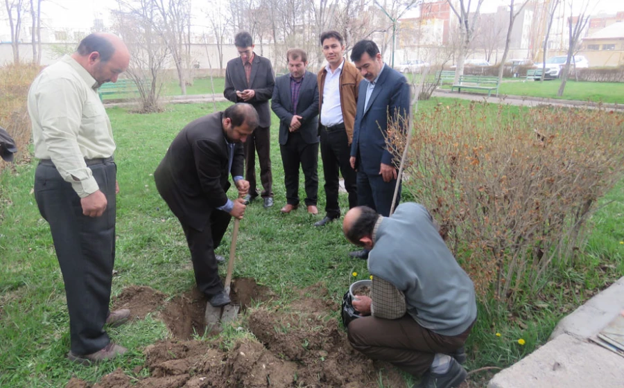 کاشت درخت توسّط دانشجومعلّم پردیس علّامه طباطبایی به بهانه سالروز تولّد این عزیز در محوّطه ی پردیس 4