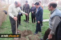 کاشت درخت توسّط دانشجومعلّم پردیس علّامه طباطبایی به بهانه سالروز تولّد این عزیز در محوّطه ی پردیس 5