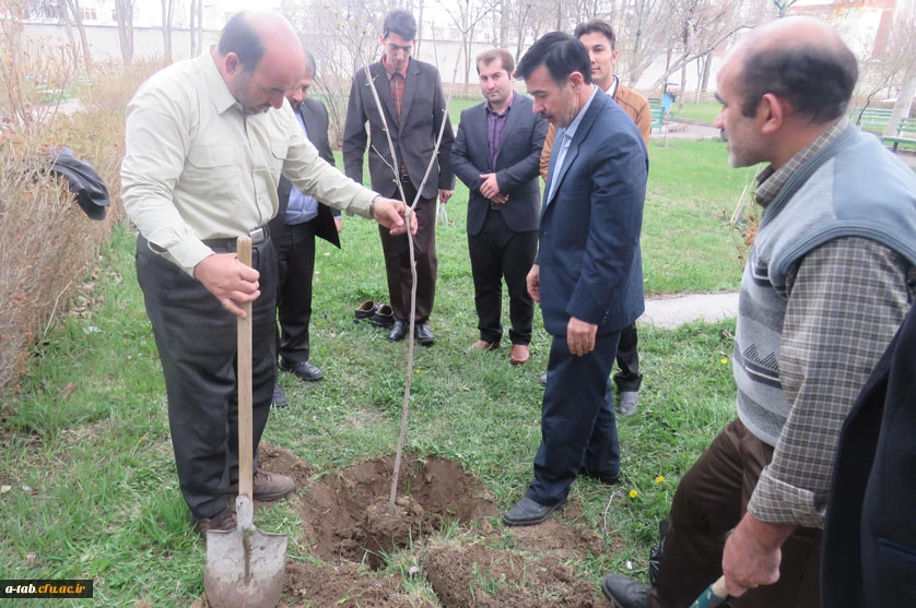 کاشت درخت توسّط دانشجومعلّم پردیس علّامه طباطبایی به بهانه سالروز تولّد این عزیز در محوّطه ی پردیس 5