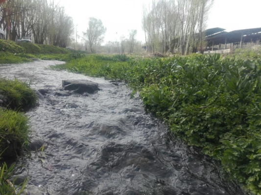 به همّت کانون ایران گردی و مسؤولان پردیس علّامه طباطبایی:

بازدید دانشجومعلّمان پردیس علّامه طباطبایی از محوطه ی باستانی شهر یری مشگین شهر 4