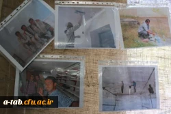 تربیت الهی انسان از دستاوردهای اردوهای جهادی است  6