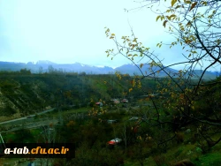 به همت کانون ایرانگردی و ایرانشناسی پریدس و معاونت فرهنگی جهاد دانشگاهی استان برگزار شد:

برگزاری اردوی یک روزه فرهنگی تفریحی در شهرستان مشگین شهر 5