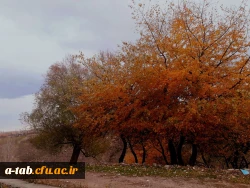 به همت کانون ایرانگردی و ایرانشناسی پریدس و معاونت فرهنگی جهاد دانشگاهی استان برگزار شد:

برگزاری اردوی یک روزه فرهنگی تفریحی در شهرستان مشگین شهر 6