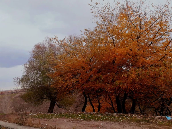 به همت کانون ایرانگردی و ایرانشناسی پریدس و معاونت فرهنگی جهاد دانشگاهی استان برگزار شد:

برگزاری اردوی یک روزه فرهنگی تفریحی در شهرستان مشگین شهر 6