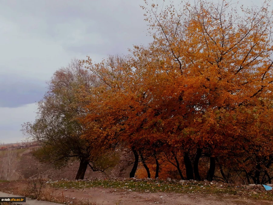 به همت کانون ایرانگردی و ایرانشناسی پریدس و معاونت فرهنگی جهاد دانشگاهی استان برگزار شد:

برگزاری اردوی یک روزه فرهنگی تفریحی در شهرستان مشگین شهر 6
