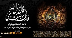 شهادت حضرت فاطمه زهرا (س) تسلیت باد
 2