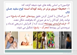 رشد کودک ابتدایی 98- جلسه 4