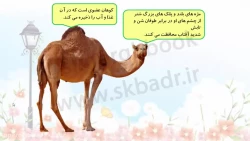 آموزش مطالعات اجتماعی- ابتدایی 96- جلسه 14 ج