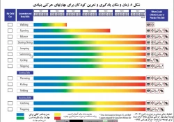 مبانی تربیت بدنی- ابتدایی 96- جلسه نهم 2